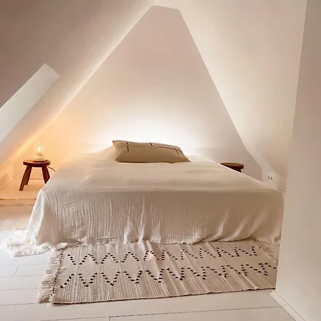 Kate 4 Stoltebüll