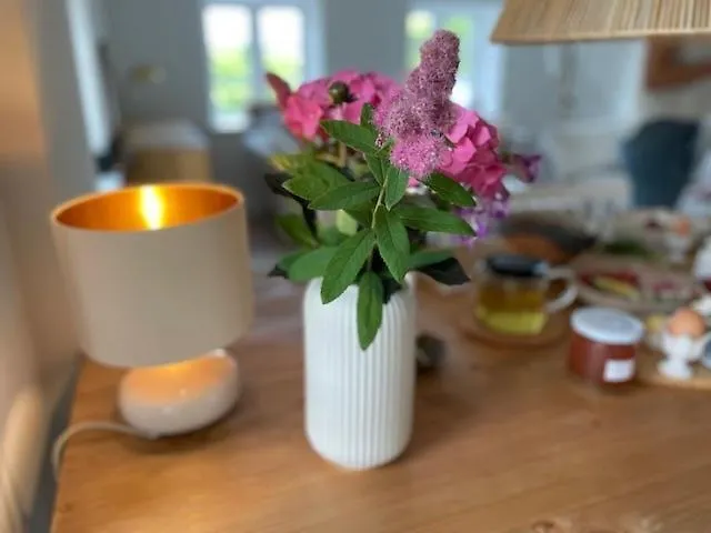 Kate 4 * Stoltebüll