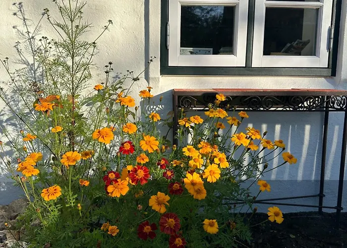 Kate 4 * Stoltebüll